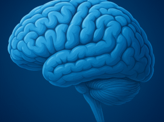 ChatGPT Image Aug 27, 2025, 04_23_06 PM